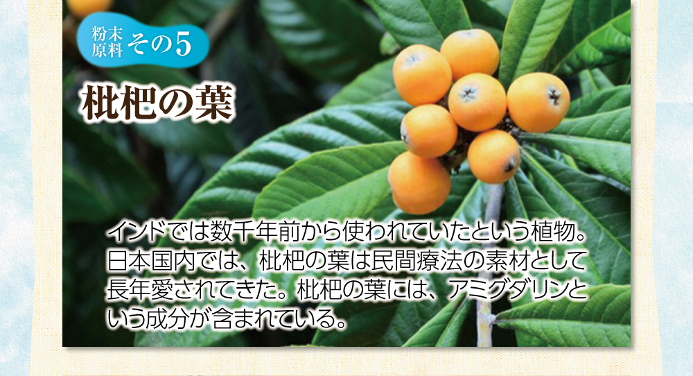 【粉末原料：その５】枇杷の葉。インドでは数千年前から使われていたという植物。日本国内では、枇杷の葉は民間療法の素材として長年愛されてきた。枇杷の葉には、アミグダリンという成分が含まれている。