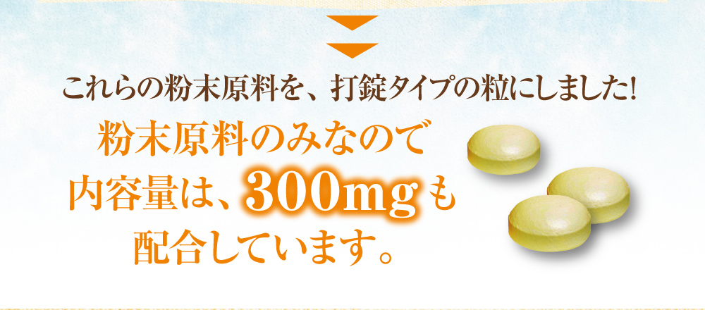 これらの粉末原料を、打錠タイプの粒にしました！粉末原料のみなので内容量は、３００ｍｇも配合しています。