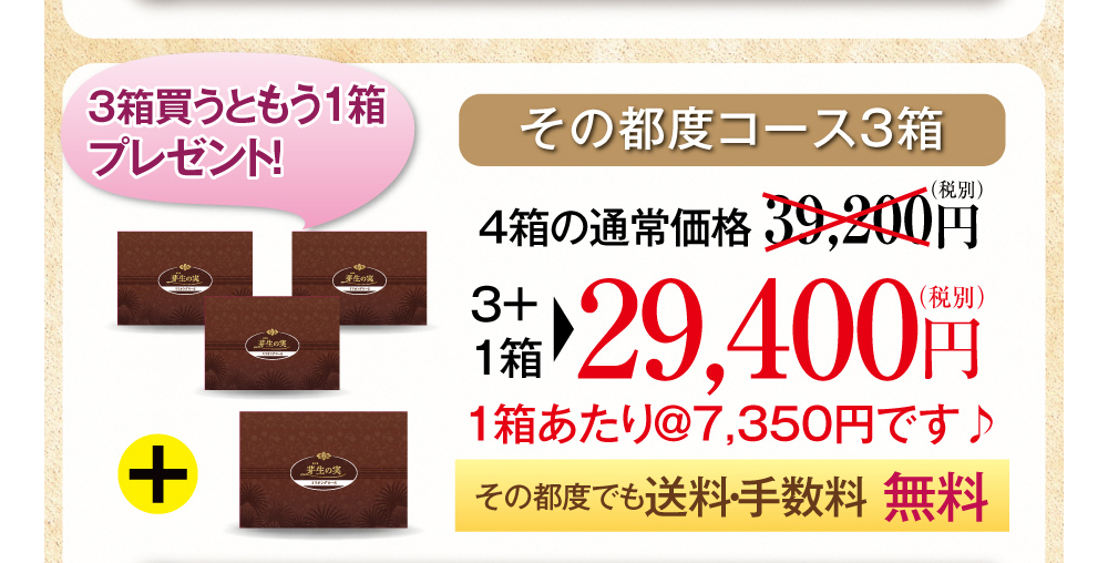 その都度コース3箱・4箱の通常価格39,200円（税別）3箱+1箱で27,600円（税別）1箱あたり＠6,900円です♪3箱買うともう1箱プレゼント！その都度でも送料・手数料無料