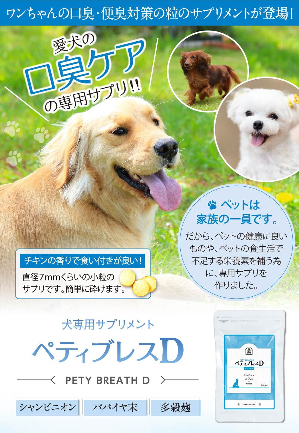 犬専用サプリメント ペティブレスd アーユスライフ アムレシャンプー スキンケア商品の通販サイト
